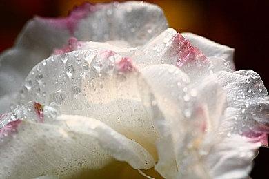 泄露数据显示重制版销量惊人 索尼有意继续炒冷饭